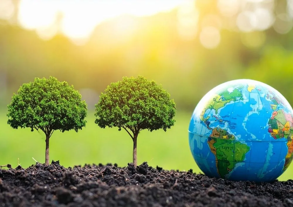 Environmental clearance cost range for Category A B1 and B2 projects in India