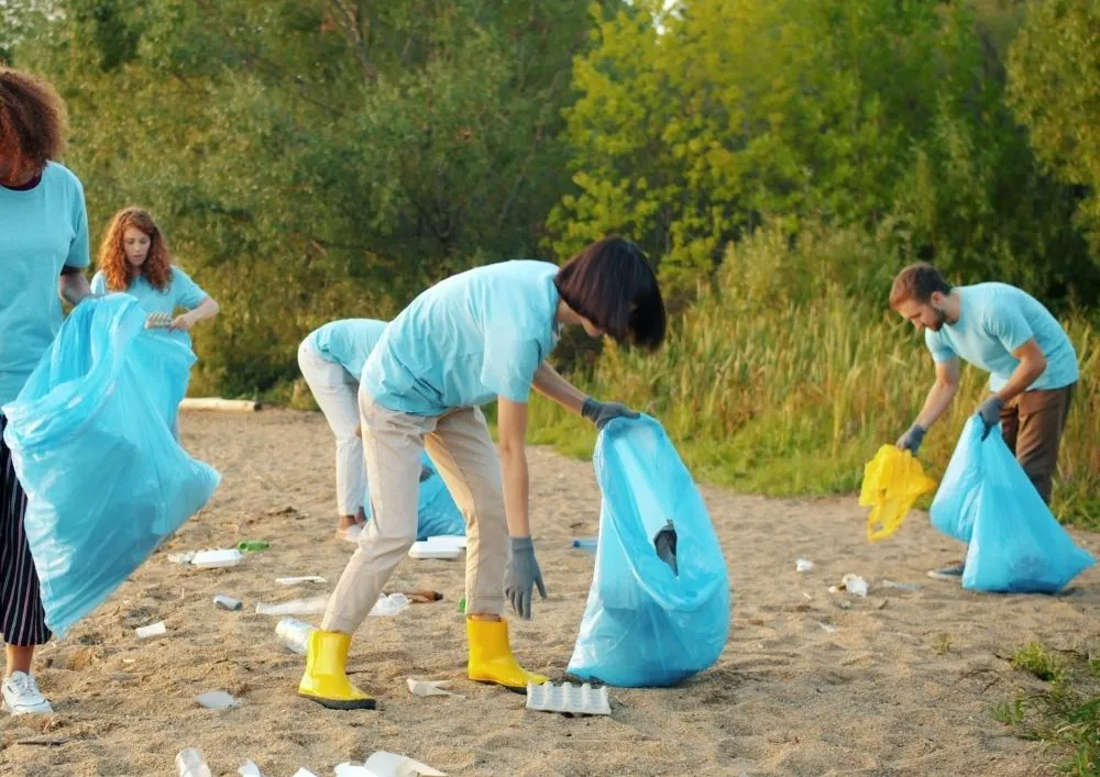 Key factors affecting environmental clearance cost such as project size location and complexity