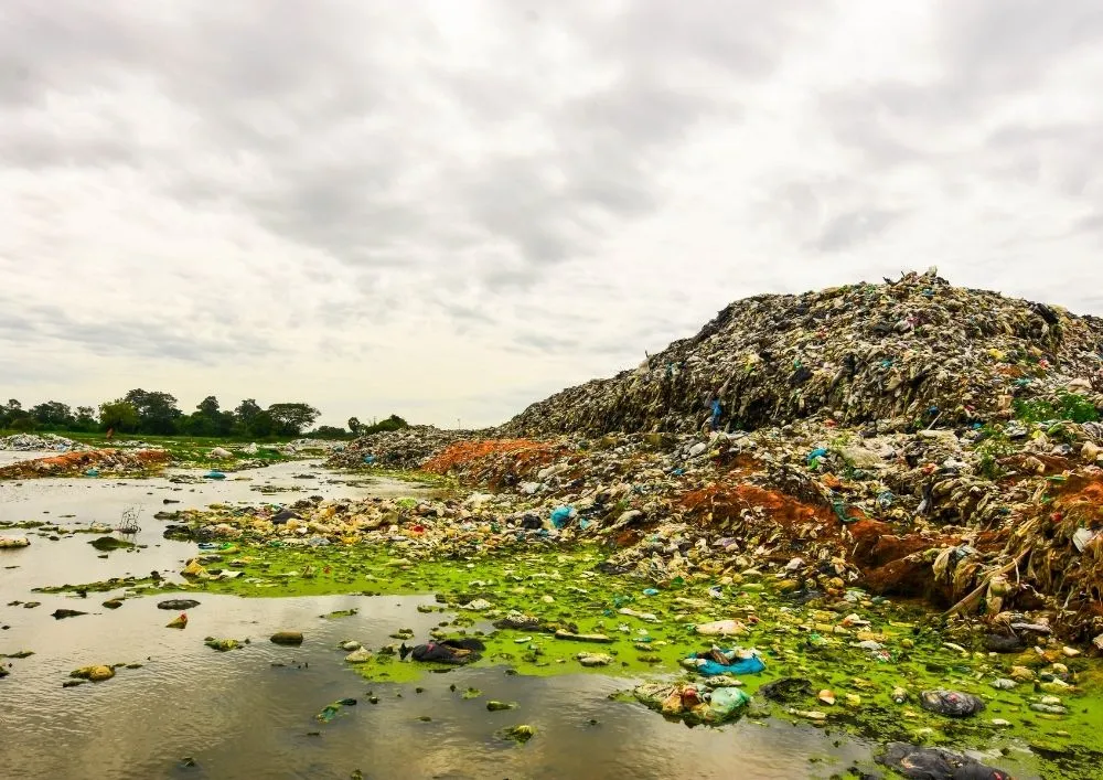 PARIVESH portal dashboard for environmental clearance application process in India