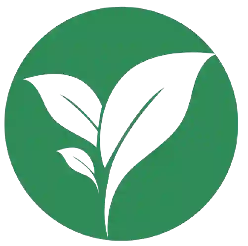 environmental clearance and EIA consulting services in India